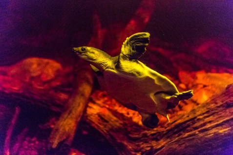 Kit Haselden Photography - www.kithaselden.com