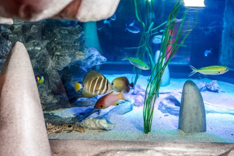 Kit Haselden Photography - www.kithaselden.com