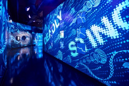 Kit Haselden Photography